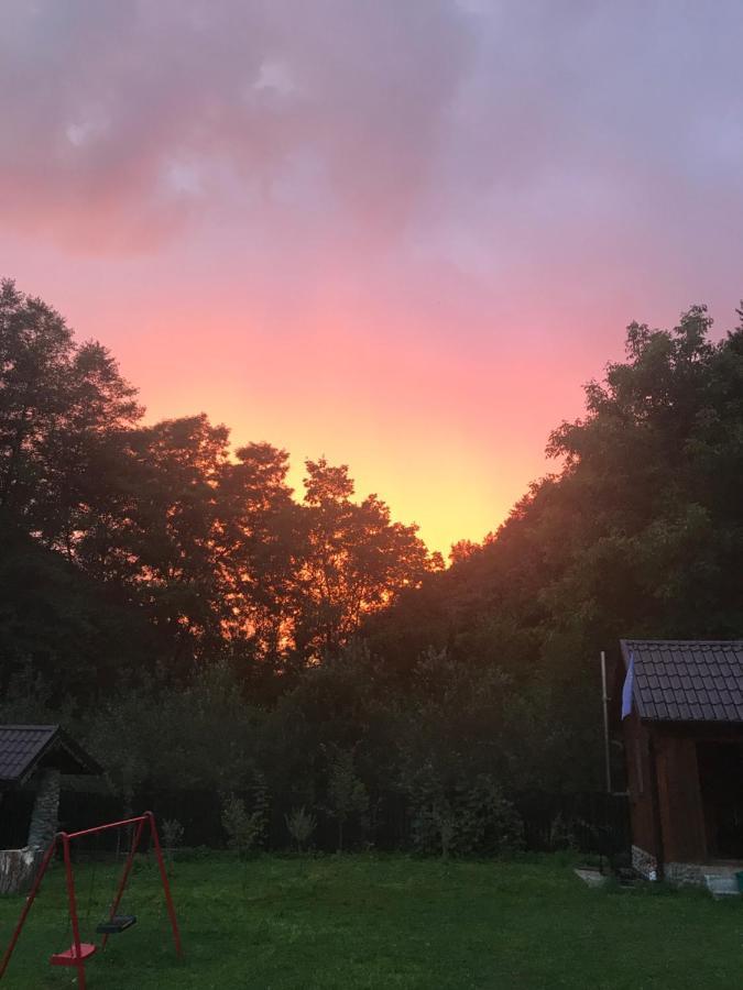 Pensiunea Valea Tonii Strungari Bagian luar foto