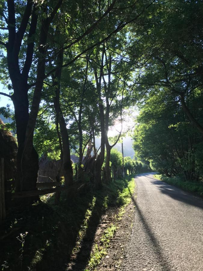 Pensiunea Valea Tonii Strungari Bagian luar foto