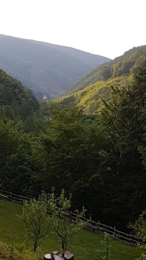 Pensiunea Valea Tonii Strungari Bagian luar foto