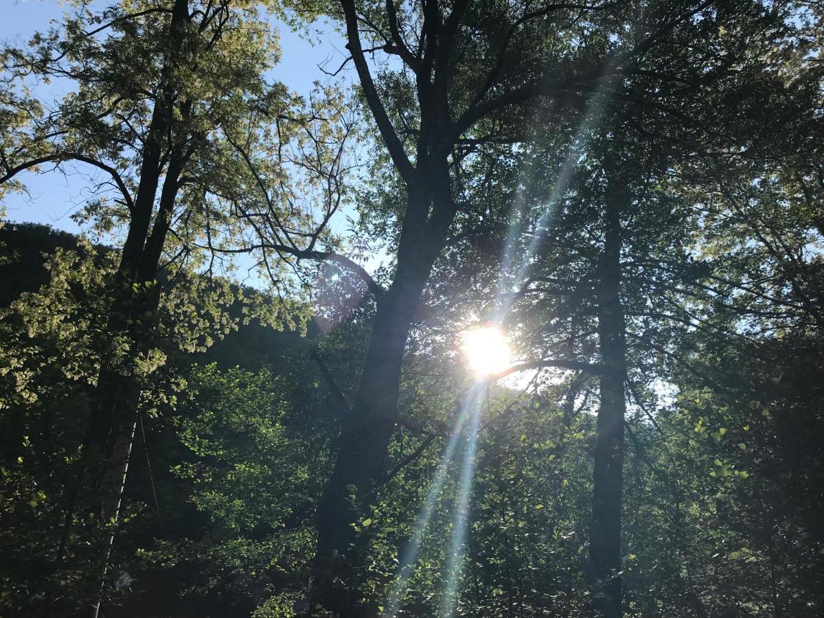 Pensiunea Valea Tonii Strungari Bagian luar foto