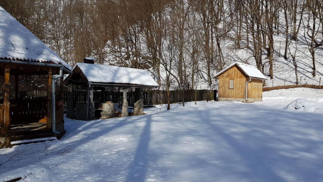 Pensiunea Valea Tonii Strungari Bagian luar foto