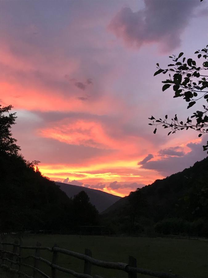 Pensiunea Valea Tonii Strungari Bagian luar foto