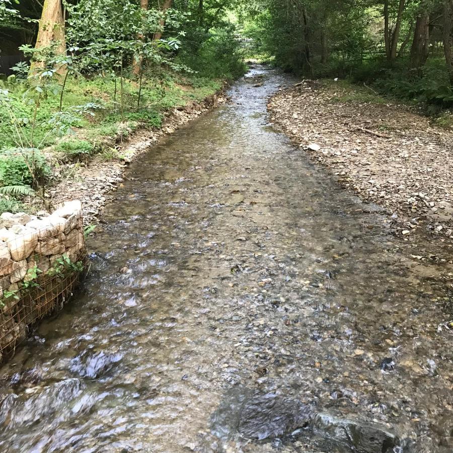 Pensiunea Valea Tonii Strungari Bagian luar foto