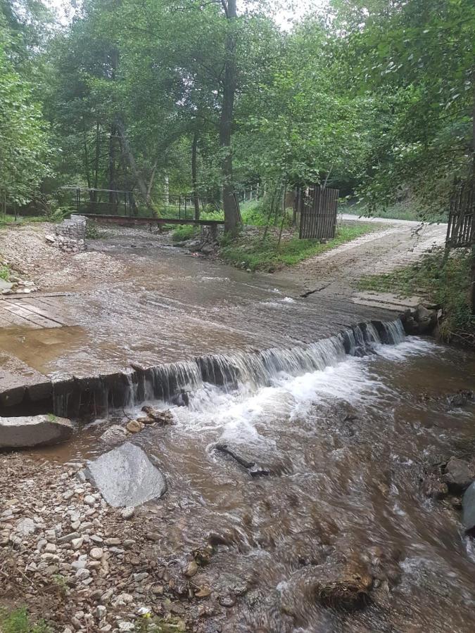 Pensiunea Valea Tonii Strungari Bagian luar foto